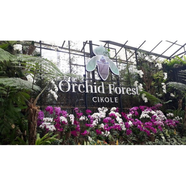 OUTBOUND ORCHID FOREST CIKOLE